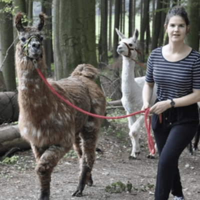Boerderijdieren in de zorg- en welzijnssector - Module 1 en 2
